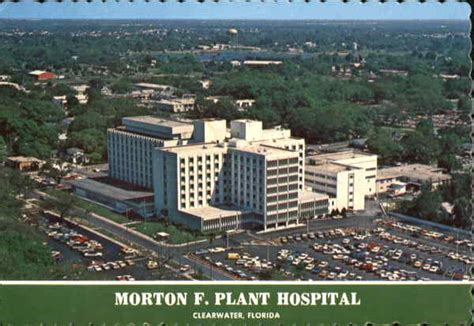 morton plant hospital clearwater jobs|morton plant hospital physician directory.